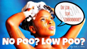 Read more about the article Low Poo? No Poo? Qué isso???
